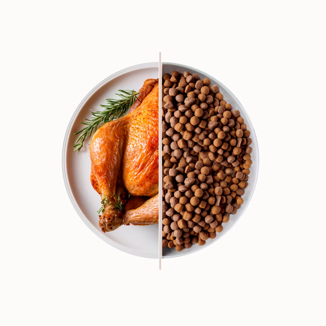 TOP Chicken suha hrana za odrasle pse – piletina 3 kg