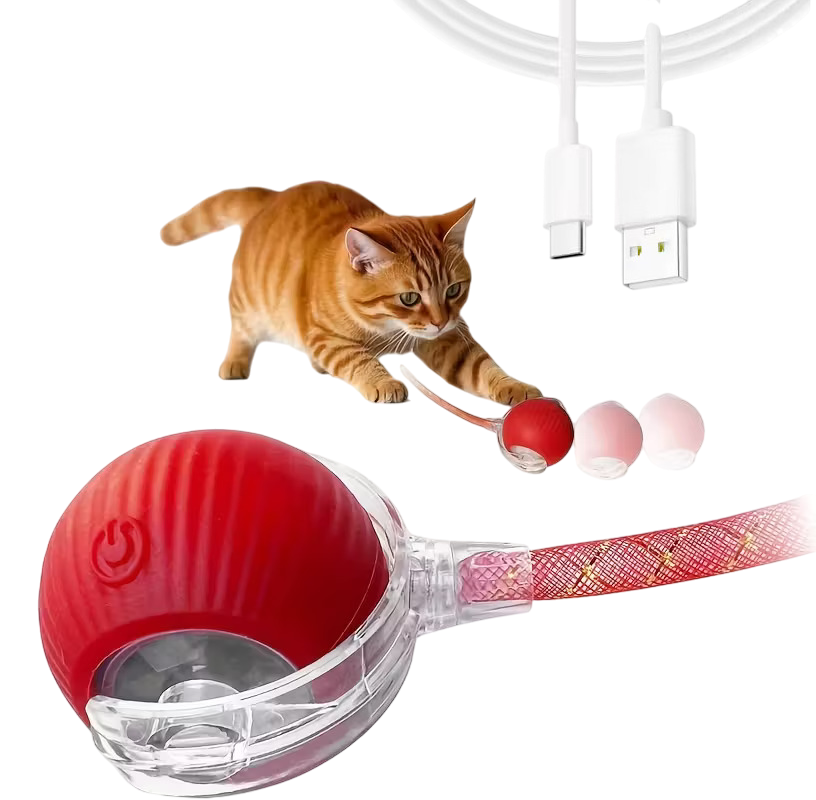 Žogica interaktivna z repkom