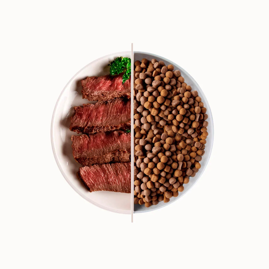 TOP Beef suha hrana za odrasle pse – govedina 10 kg